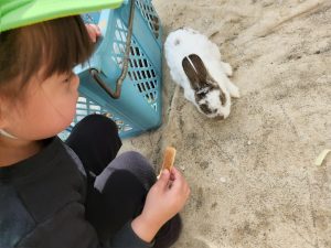 移動動物園