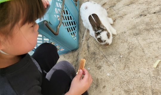 移動動物園